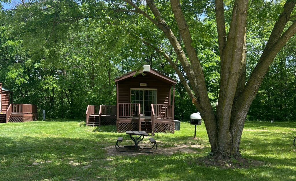 032E992A-465D-424E-A02C-04D29FF0AE26