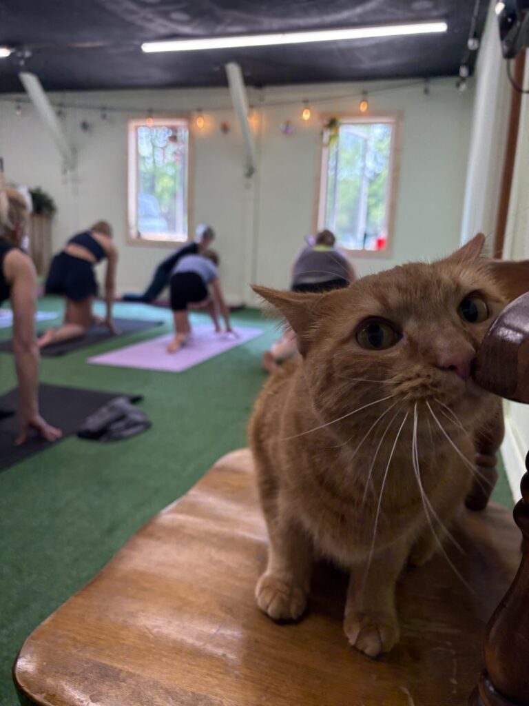 26D1C422-2DDF-48D5-B0D7-1289582B4227