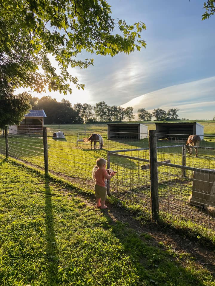 488186338_1460673528463206_2878984477620748870_n